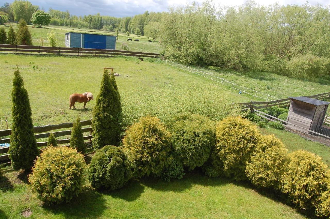 Biebrzanska Zagroda Stare Dolistowo Exterior foto